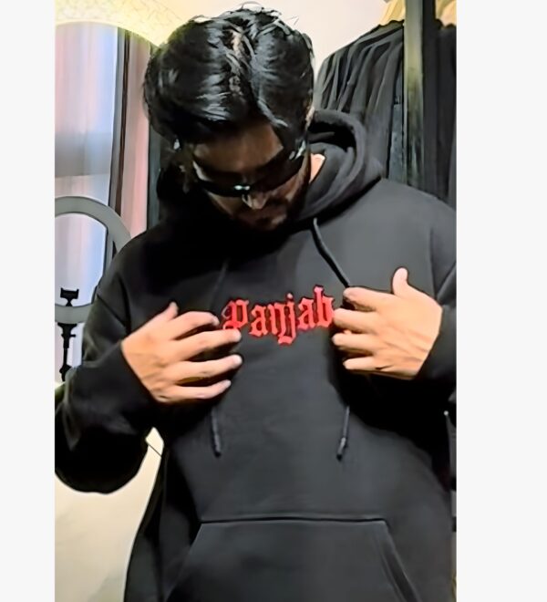 ELONZE “Panjab” Embroidered Hoodie – 400 GSM Heavy Cotton Fleece